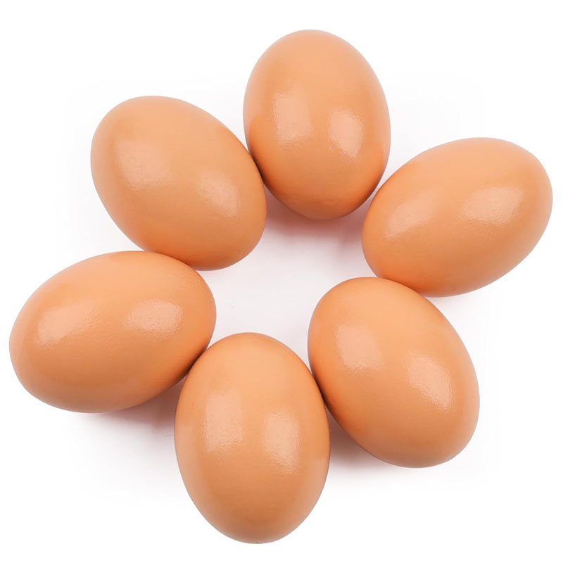 Wooden Egg for Laying Chickens - Baby Food With Chicken review and price