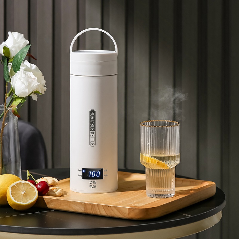 Travel Electric T Kettle Fast  - Baby Food Thermos review and price